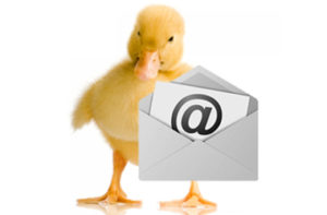 Hosting: i vantaggi di un servizio professionale