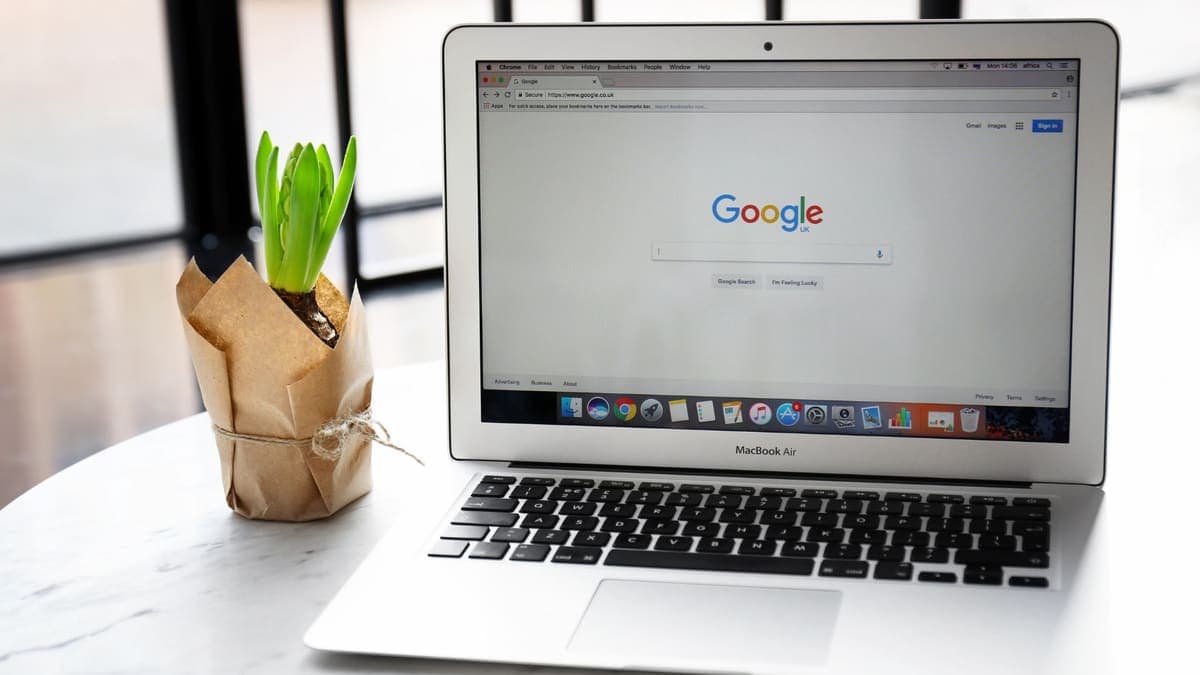 pc con schermata di home di Google e piantina verde